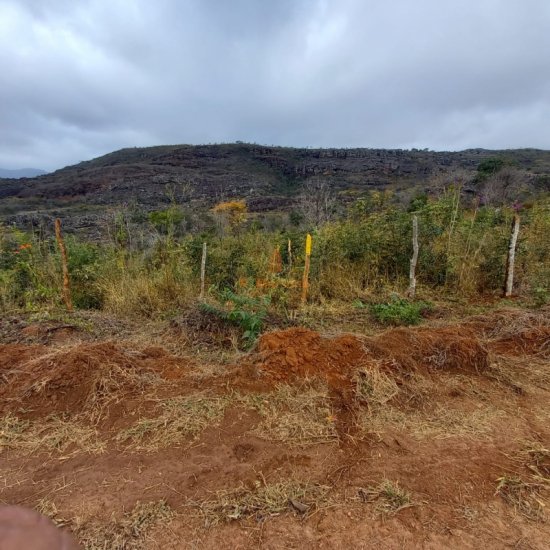 terreno-venda-capivari-serro-minas-gerais-754924